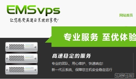 emsvps emsvps