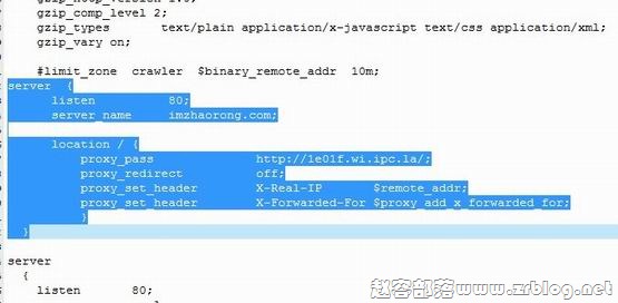 nginx nginx