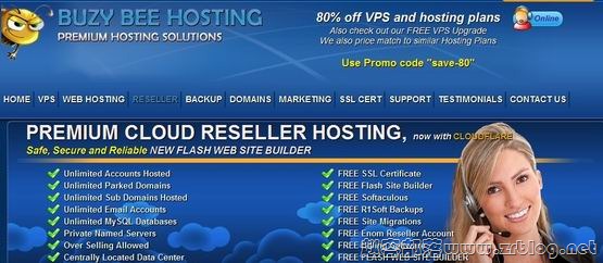 Buzy Bee Hosting:$1/首月XEN-512MB/1GB/30GB/500GB 科罗拉多州-国外主机分享