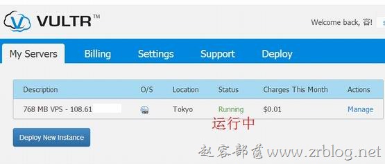 vultr06 vultr06