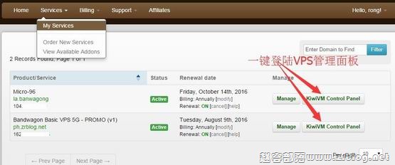Bandwagonhost(搬瓦工)VPS管理面板教程-国外主机分享